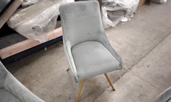 DESIGNER LIGHT GREY VELVET DINING CHAIR WITH GOLD COLOUR LEGS 