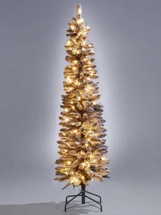 6FT PRE LIT FLOCKED PENCIL BLACK CHRISTMAS TREE RRP £79.99