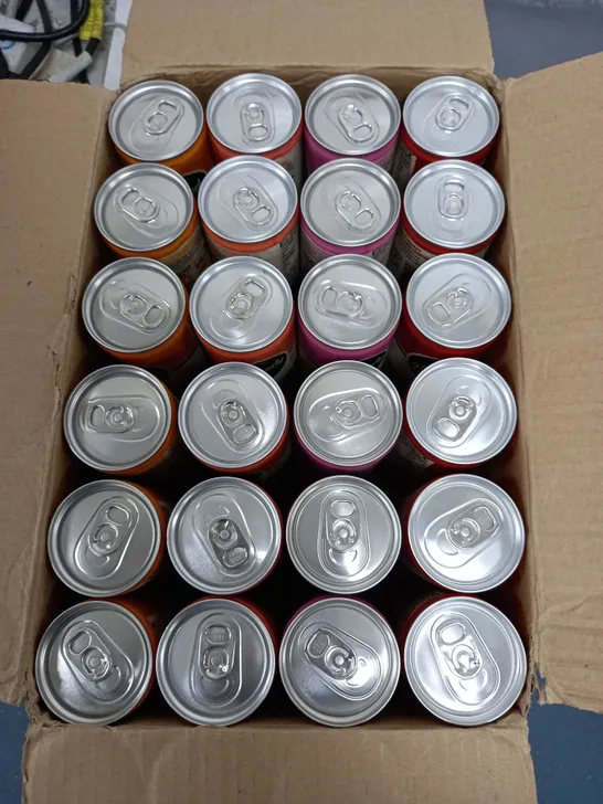 REMEDY KOMBUCHA 250ML CAN IN VARIOUS FLAVOURS 