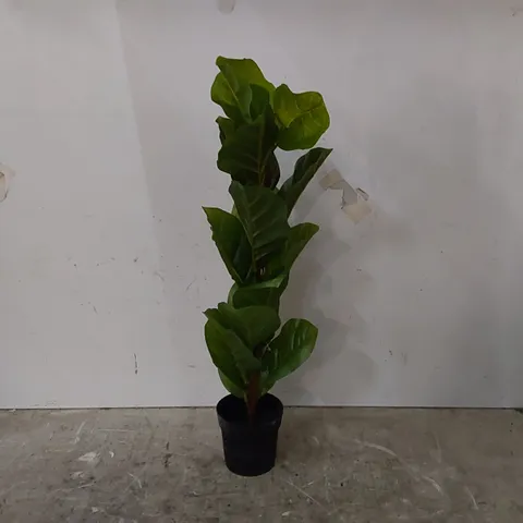 BOXED FAUX FIDDLE LEAF PLANT IN PLANTER (1 BOX)