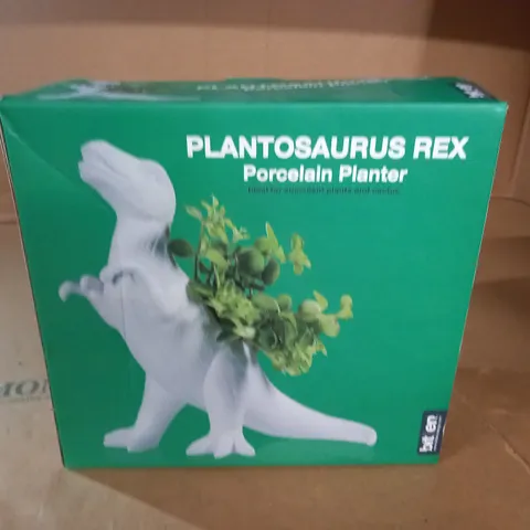 BOXED PLANTOSAURUS REX PORCELAIN PLANTER