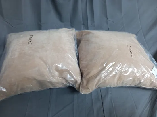 SET OF 2 BAGGED CUSHIONS 