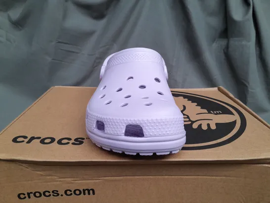 BOXED CROCS CLASSIC IN LILAC - UK M6/W7