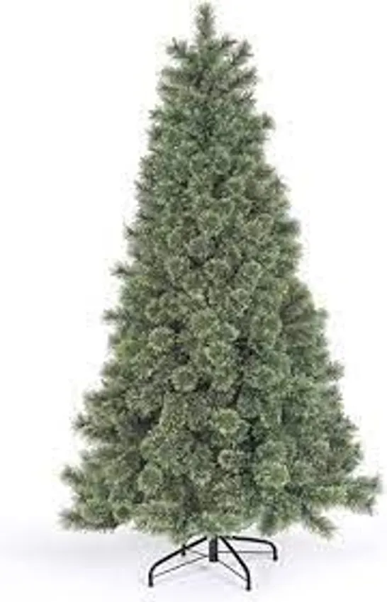 BOXED 210CM ARCADIA FULL CASHMERE TREE WITH 800 TIPS 