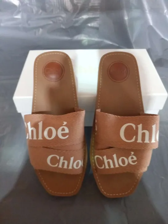 BOXED CHLOE WOODY MULE PALE PINK CANVAS SIZE 39