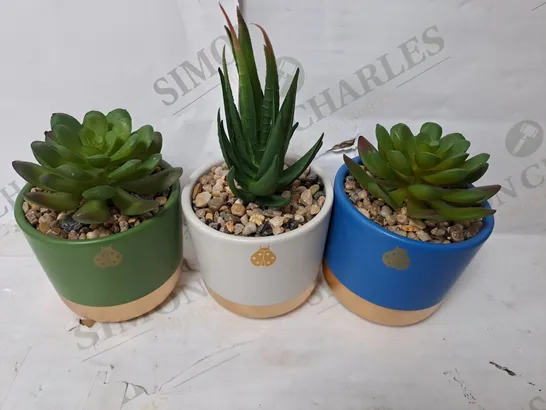 BOXED SET OF 3 MINI CERAMIC FAUX WITH PLANT 