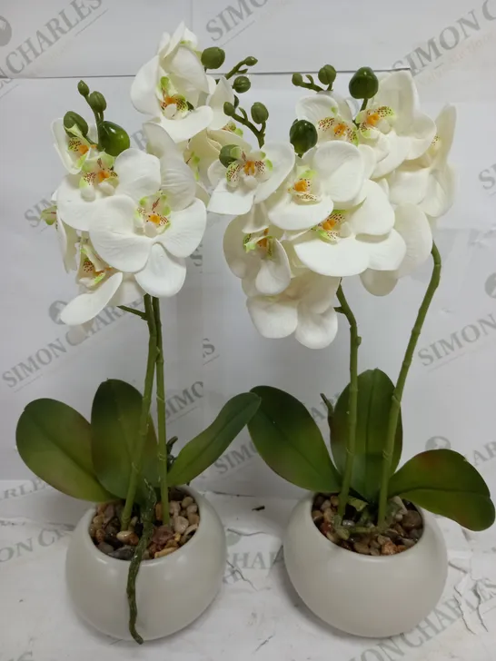 BOXED HOME REFLECTIONS SET OF TWO FAUX ORCHIDS IN WHITE