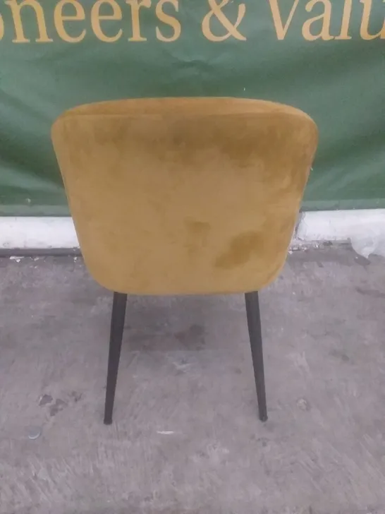 YELLOW VELVET DINING CHAIR