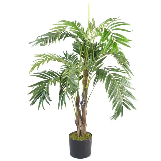 BOXED FLOOR PALM PLANT IN PLANTER (1 BOX)