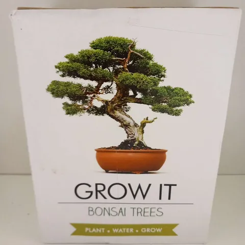 BOXED GROW IT BONSAI TREE