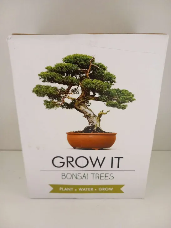 BOXED GROW IT BONSAI TREE