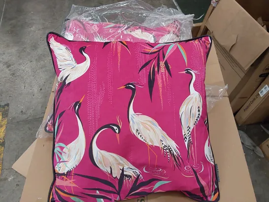 BAGGED SET OF 2 HERRON FEATHERS CUSHIONS WITH FILLING (1 ITEM)