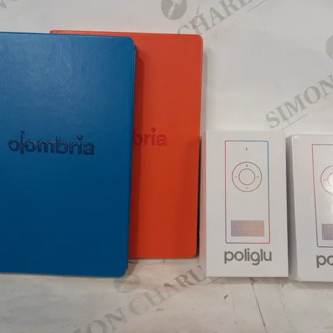 LOT OF APPROXIMATELY 15 ASSORTED HOUSEHOLD ITEMS TO INCLUDE OLOMBRIA NOTEBOOK, POLIGLU TRANSLATOR, ETC