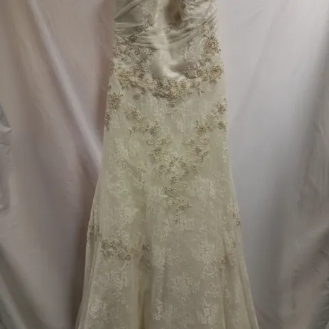 BERKETEX BRIDE SASHA PEREZ WEDDING DRESS, IVORY - SIZE 12