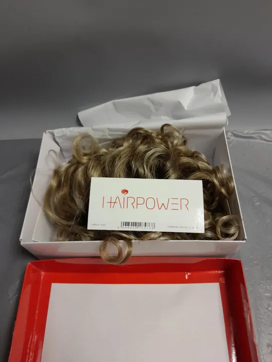 BOXED ELLEN WILLE JAMILA PLUS WIG IN CHAMPAGNE-ROOTED