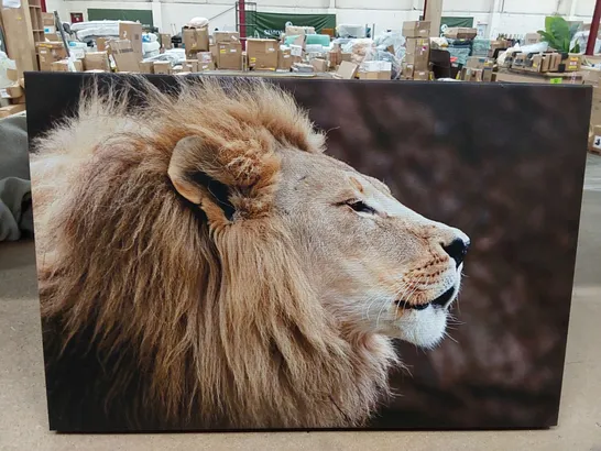 BAGGED WRAPPED CANVAS PRINT - LION HEAD (1 ITEM)