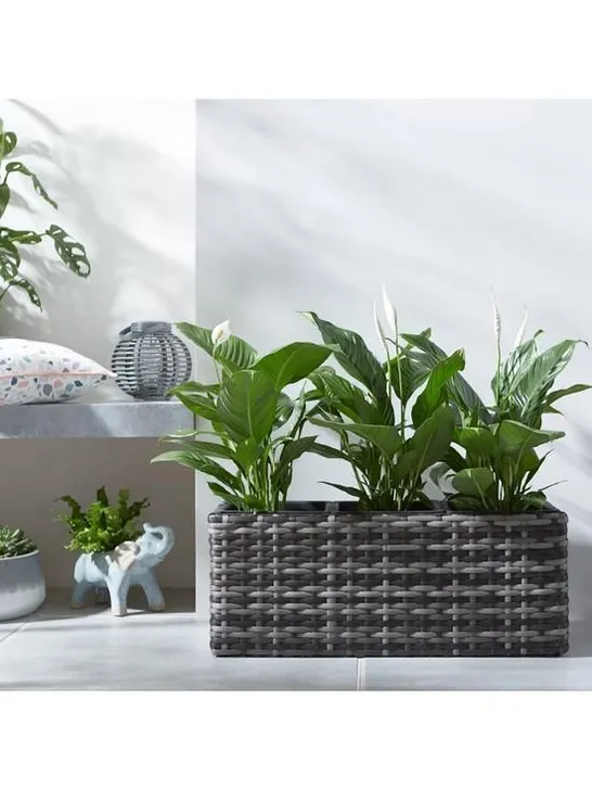 BOXED ARUBA TROUGH SHAPED RATTAN PLANTER 