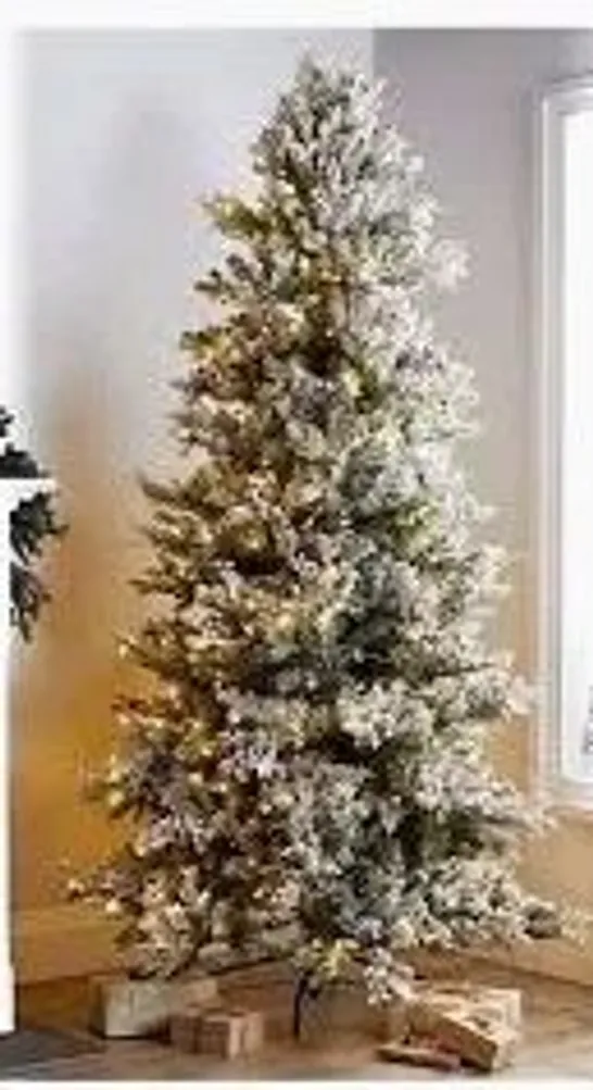 BOXED ALISON CORK SUGAR SPRUCE CHRISTMAS TREE - 6FT DUSTED - COLLECTION ONLY