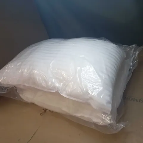 SET OF 2 STANDARD PILLOWS