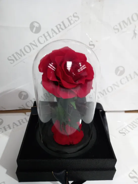 BOXED ROSE IN GLASS 