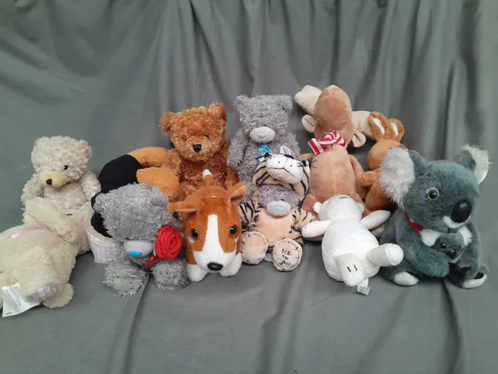 BOX OF ASSORTED PLUSH SOFT TEDDIES