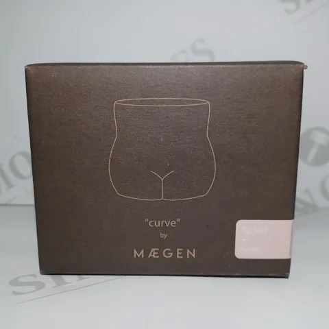 LOT OF 5 MAEGEN CURVE RANGE CANDLES - FIG LEAF & FERNS	