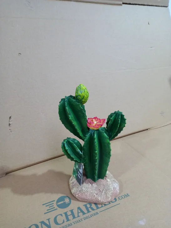 PROREP CACTUS DESIGNED  DESSERT PLANT 