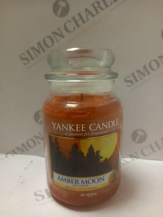 YANKEE CANDLE AMBER MOON 