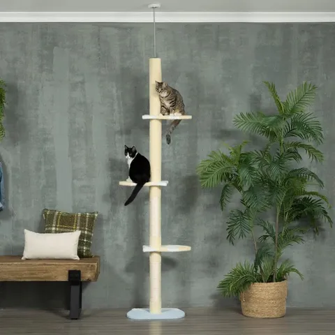 BOXED 260CM CAT TREE