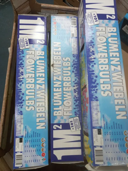 7 X BOXES OF BLUMENZWIEBELN FLOWERBULBS