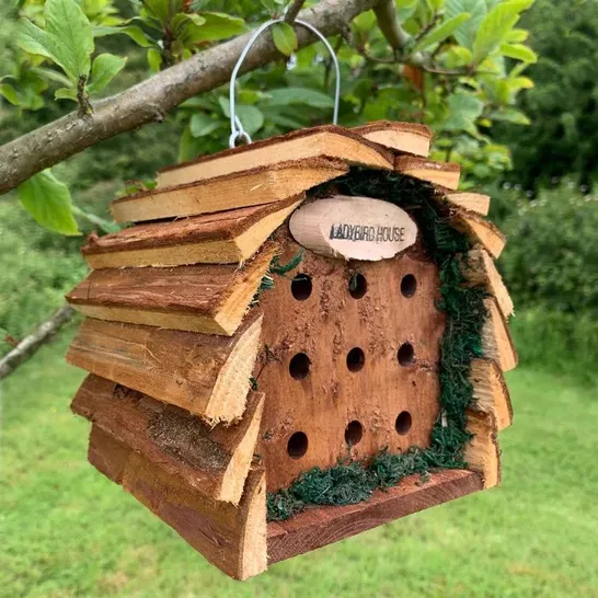 BOXED EHSAN HANGING LADYBIRD HOUSE 