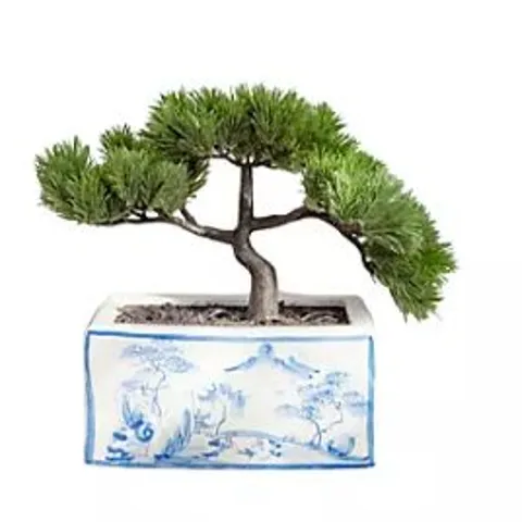 OUTLET PEONY BONSAI TREE BLUE AND WHITE ORIENTAL PLANTER