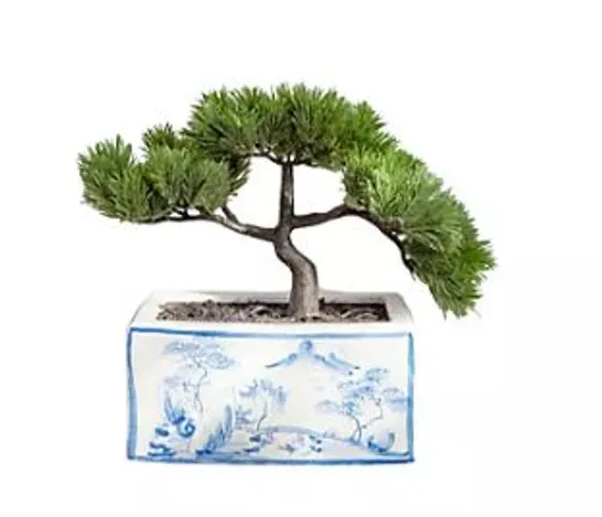 OUTLET PEONY BONSAI TREE BLUE AND WHITE ORIENTAL PLANTER