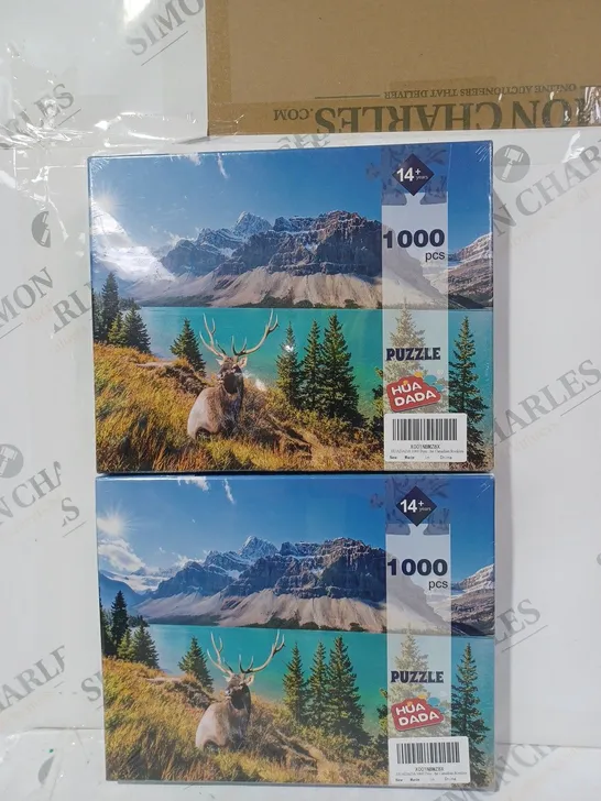 PAIR OF HUA DADA 1000 PIECE PUZZLES - ROCKY MOUNTAIN LAKE