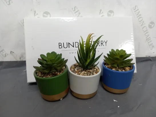 BOXED BUNDLE BERRY BY AMANDA HOLDEN SET OF MINI CERAMIC POTS WITH FAUX PLANT IN GIFT BOX  