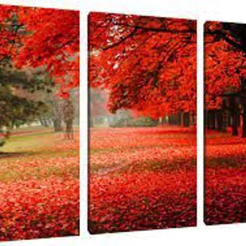 BOXED RED COLOURED PARK 3-PIECE PHOTOGRAPHIC ART