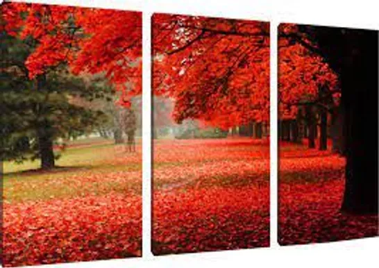 BOXED RED COLOURED PARK 3-PIECE PHOTOGRAPHIC ART