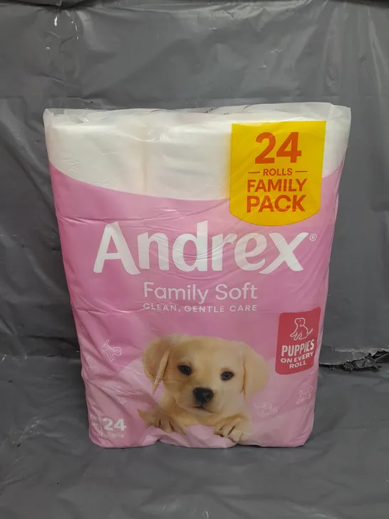 ANDREX FAMILY SOFT WHITE TOILET ROLL, PACK OF 24