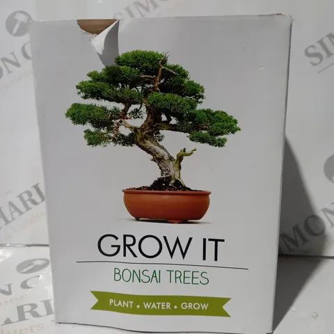 BOXED GROW IT BONSAI TREE