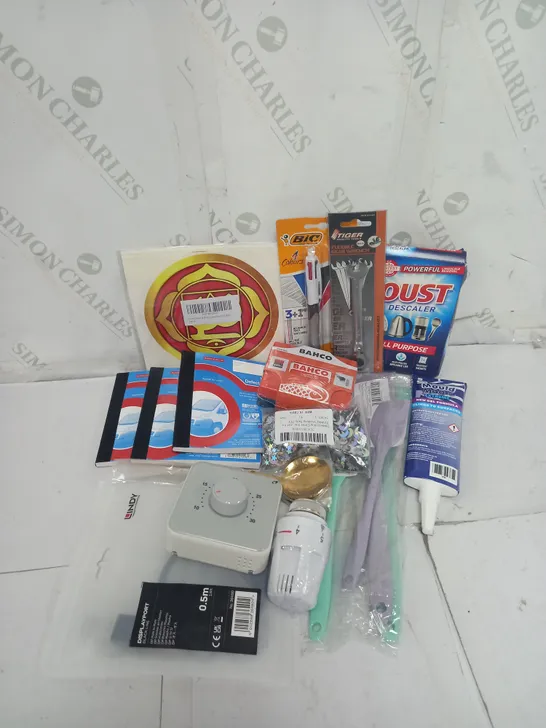 APPROXIMATELY 10 ASSORTED HOUSEHOLD GOODS TO INCLUDE BIC BALLPOINT PEN/MECHANICAL PENCIL, QUEST DESCALER, MOULD MAGIC GEL ETC. 