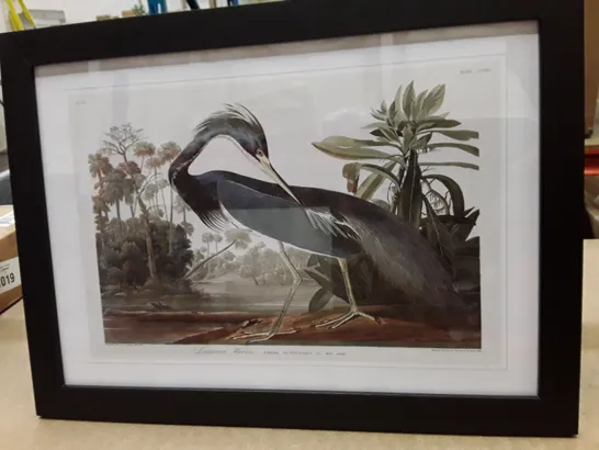 BOXED LOUISIANA HERON BY JOHN AUDUBON - SINGLE PICTURE FRAME PAINTING 