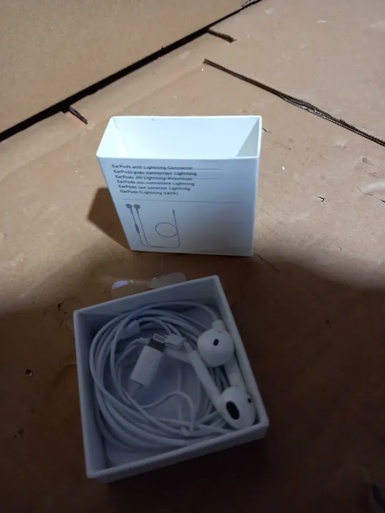 APPLE EARBUDS 