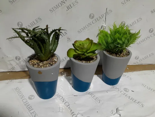 BUNDLEBERRY BY AMANDA HOLDEN SET OF 3 CONCRETE PLANTERS WITH FAUX PLANTS