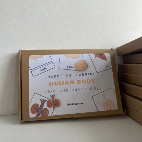 BOX OF 14 X BRAND NEW HANDS-ON LEARNING HUMAN BODY SET