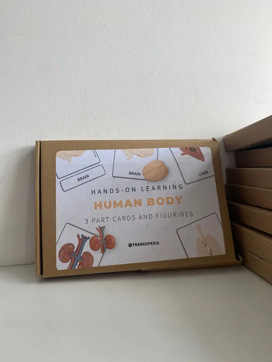 BOX OF 14 X BRAND NEW HANDS-ON LEARNING HUMAN BODY SET