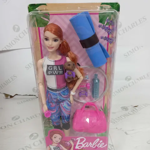 BARBIE DOLL AND ACCESSORIES 