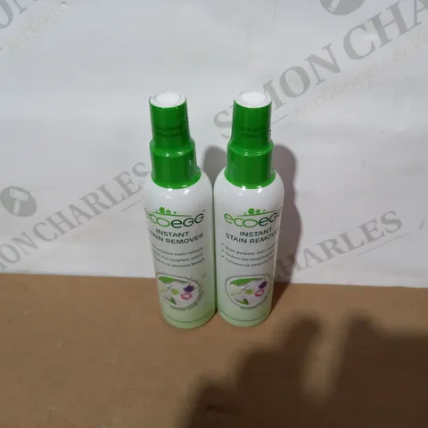BOXED ECO EGG STAIN REMOVER DUO