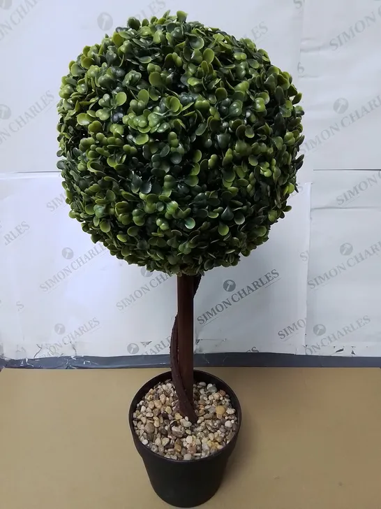 UNBOXED 60CM GRASS TREE BALL