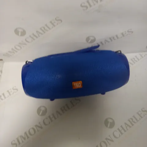 TG534 PORTABLE BLUETOOTH SPEAKER 