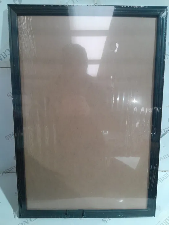 LACK PICTURE FRAME 65X45